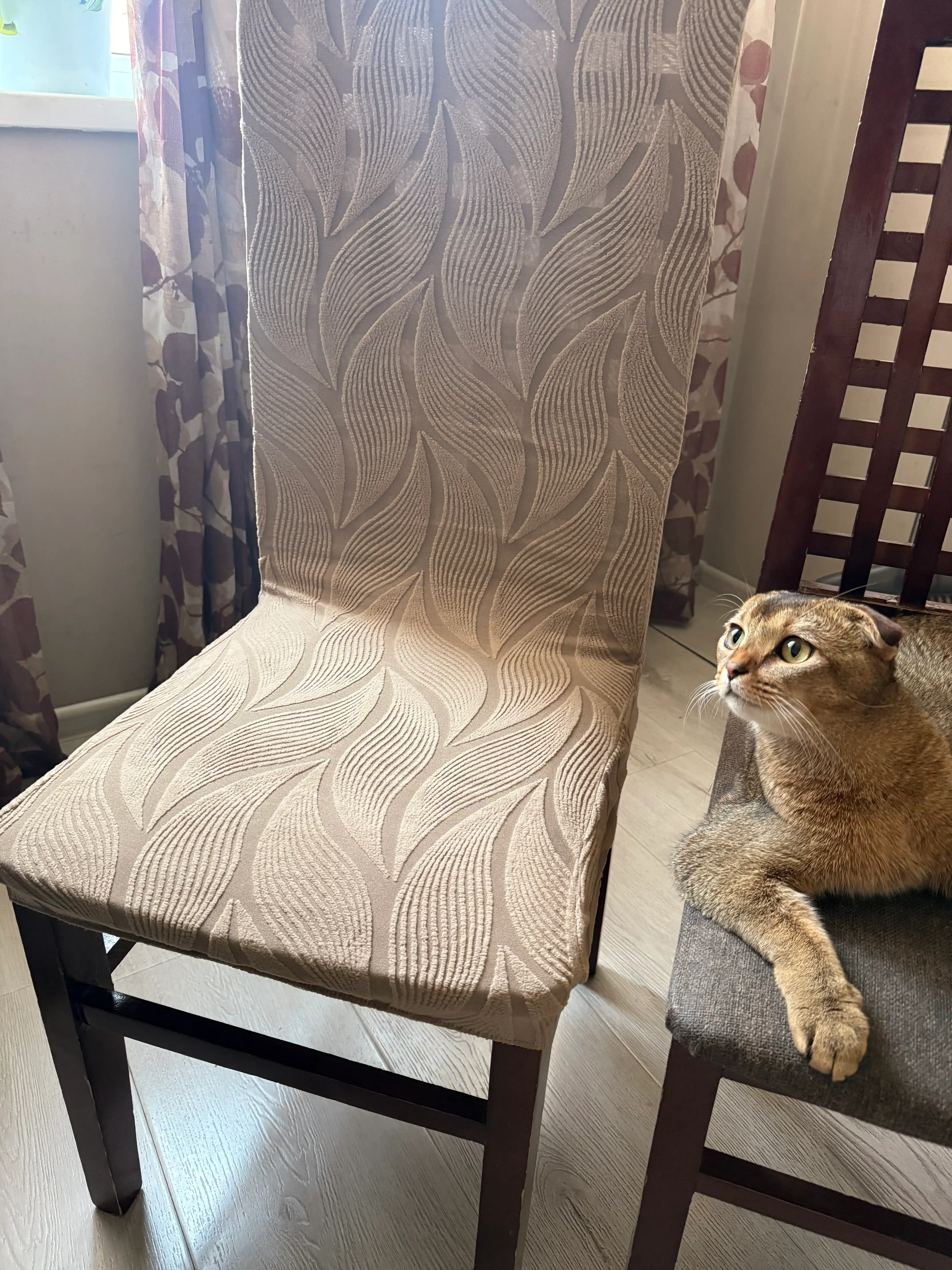 Rahat home Stullar uchun g'ilof, zich Jakkard mato, elastik, oson yuviladi, 6 dona