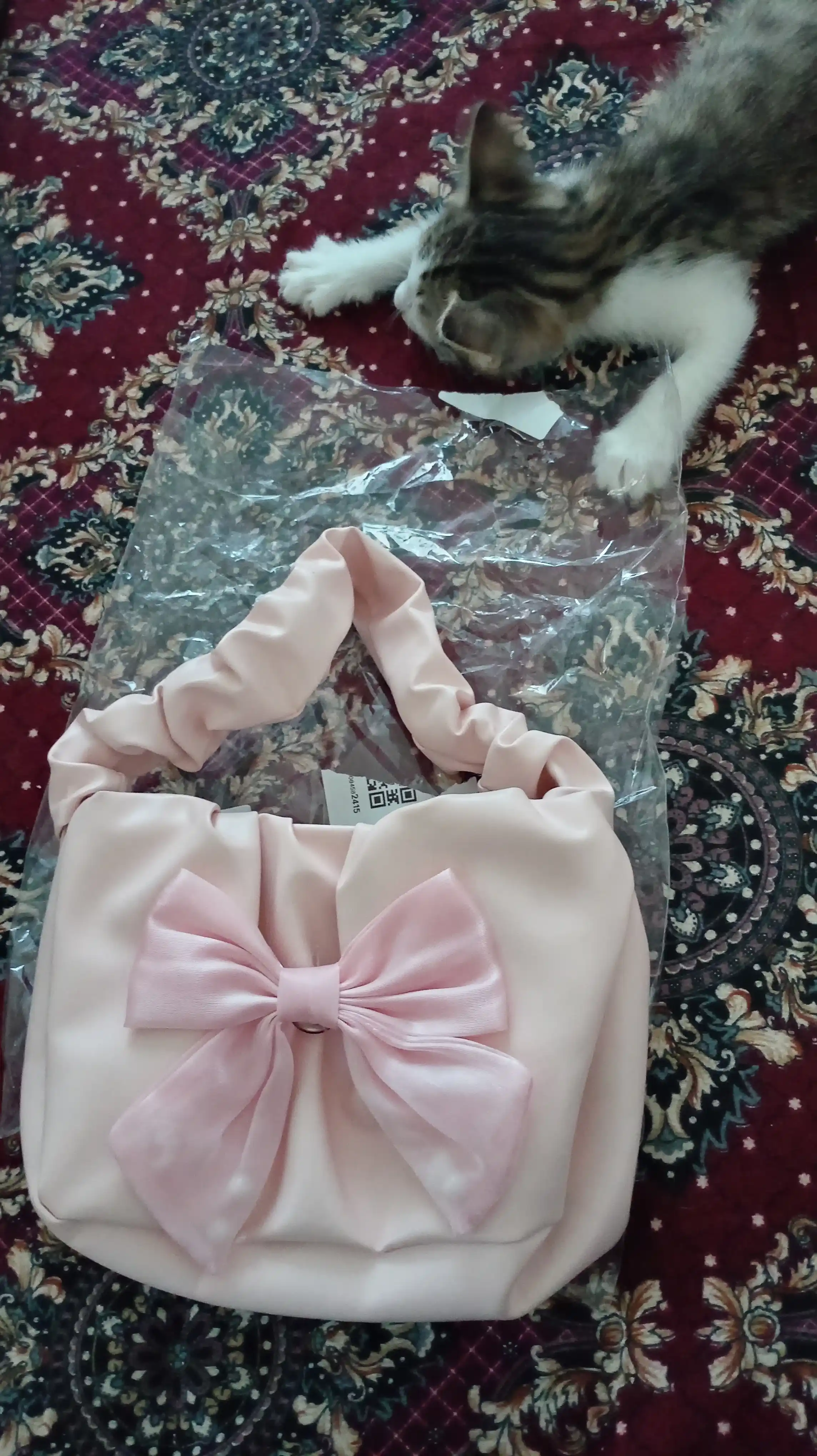 Mini sumka bantikli ayyolar uchun 14-fevral uchun ajoyib sovga