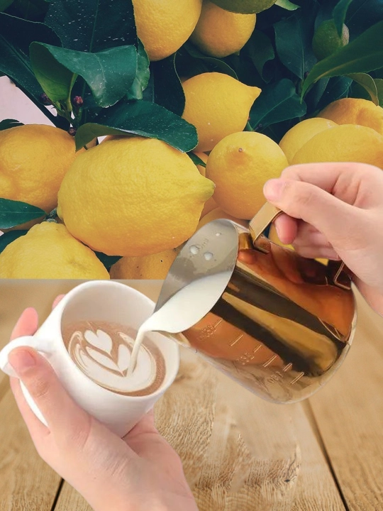 Qahva pitcheri 600 ml,350 ml, zanglamaydigan po‘latdan–sut ko‘pirtirish va latte-art uchun