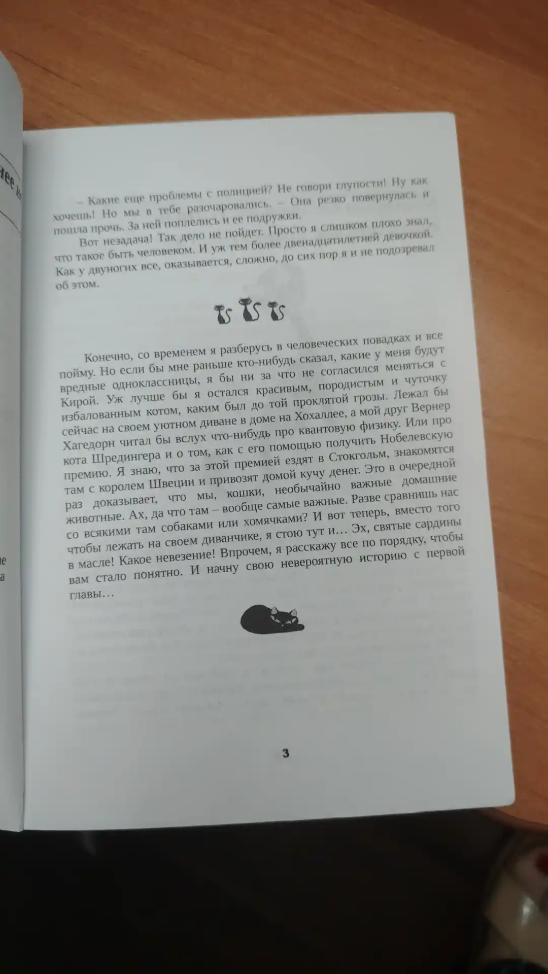 Фрауке Шойнеманн "Приключения кота-детектива"