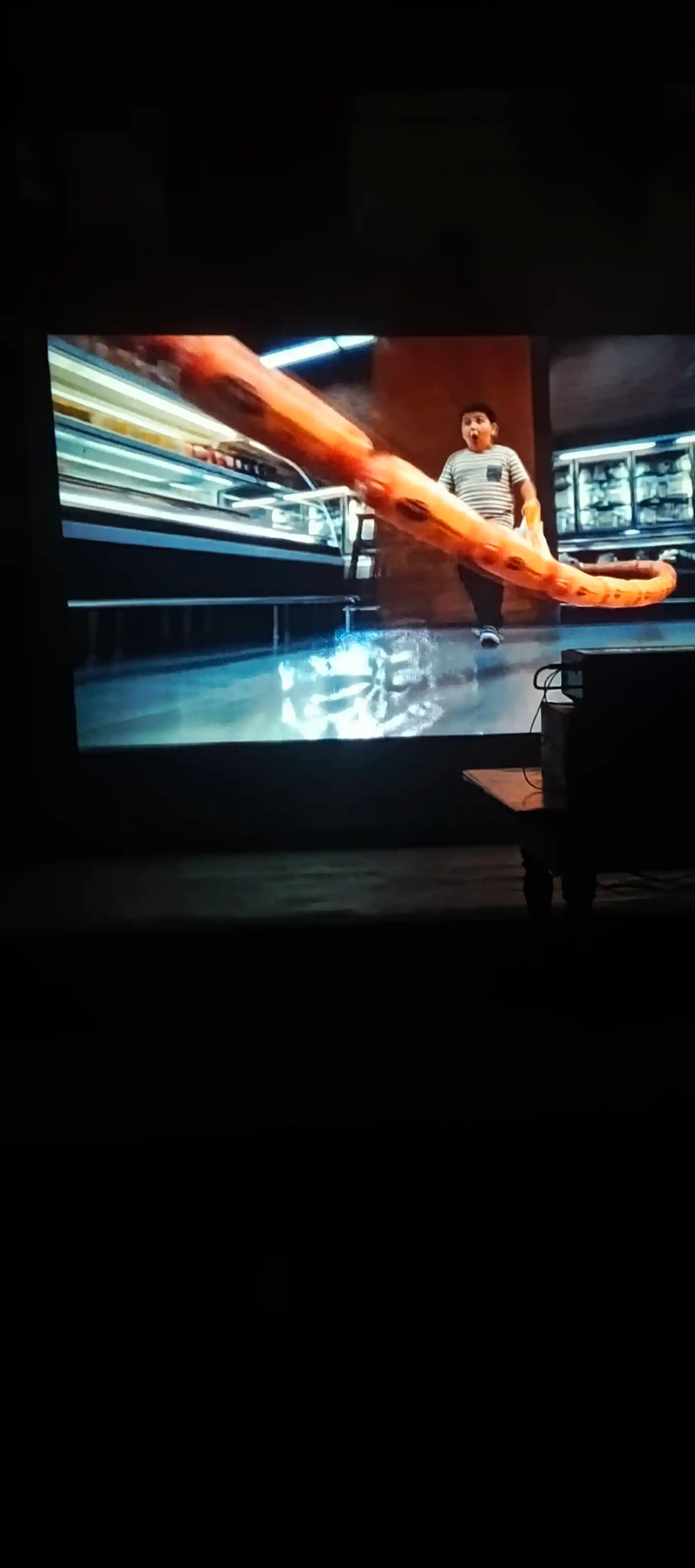 Multimedia proyektor Zhenhuo X1, 1080p