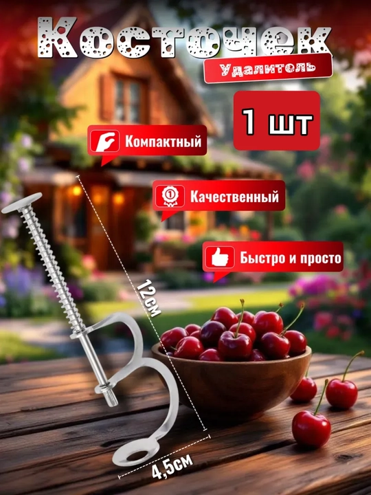 Gilos va olcha dan danagini chiqaruvchi moslama. Meva ichki qismini tozalash uchun asbob