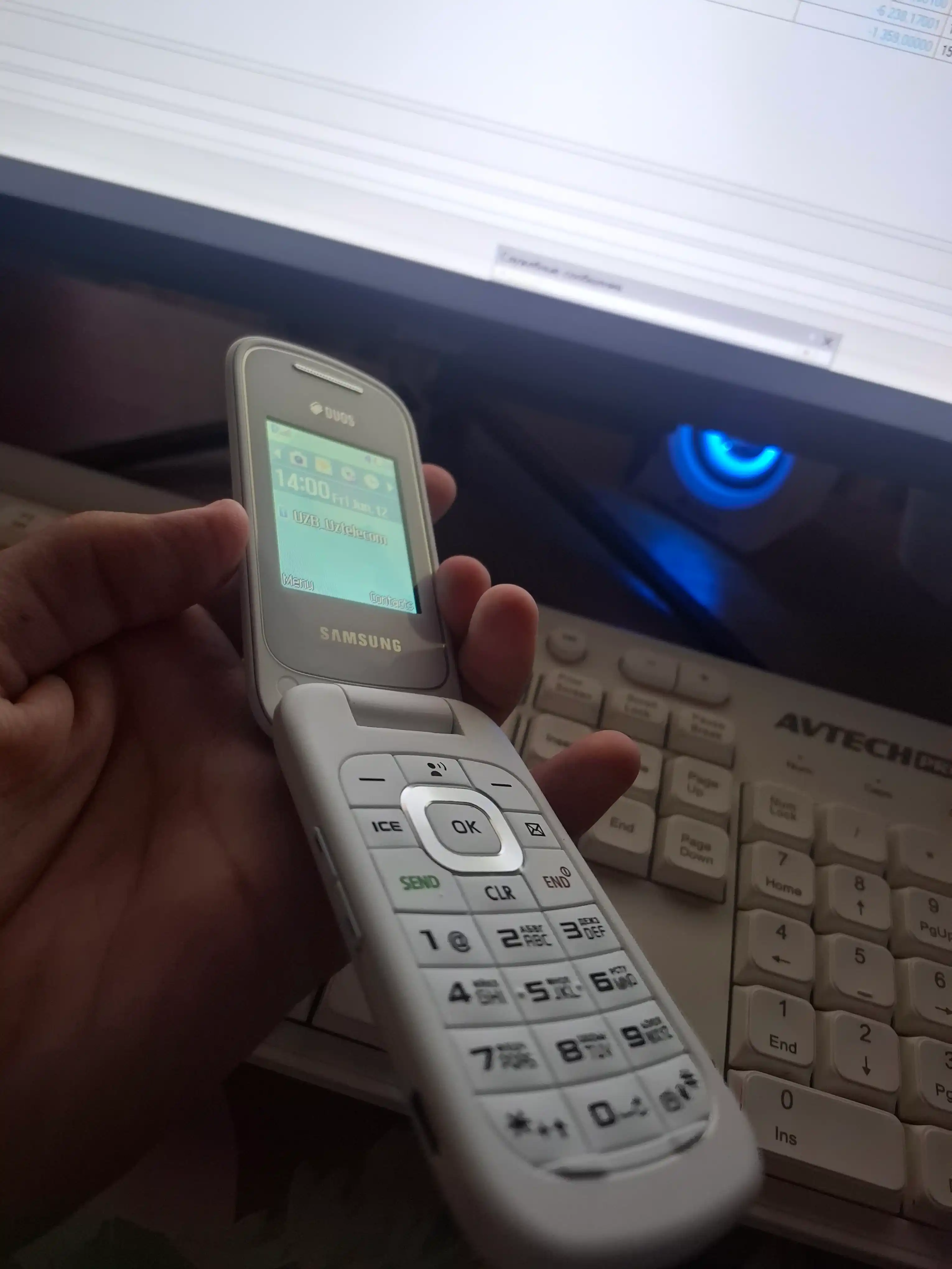 Кнопочный телефон Samsung Gusto 3 GM-B311V