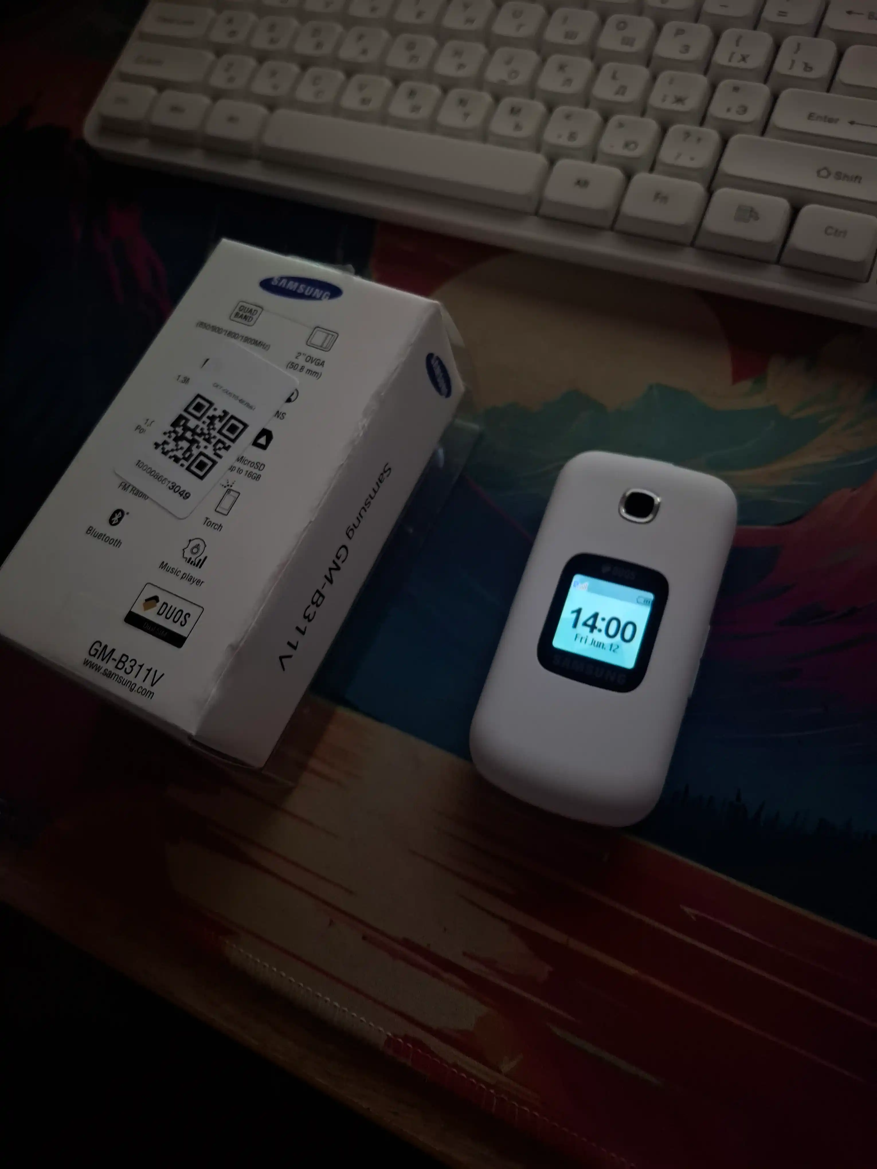 Кнопочный телефон Samsung Gusto 3 GM-B311V