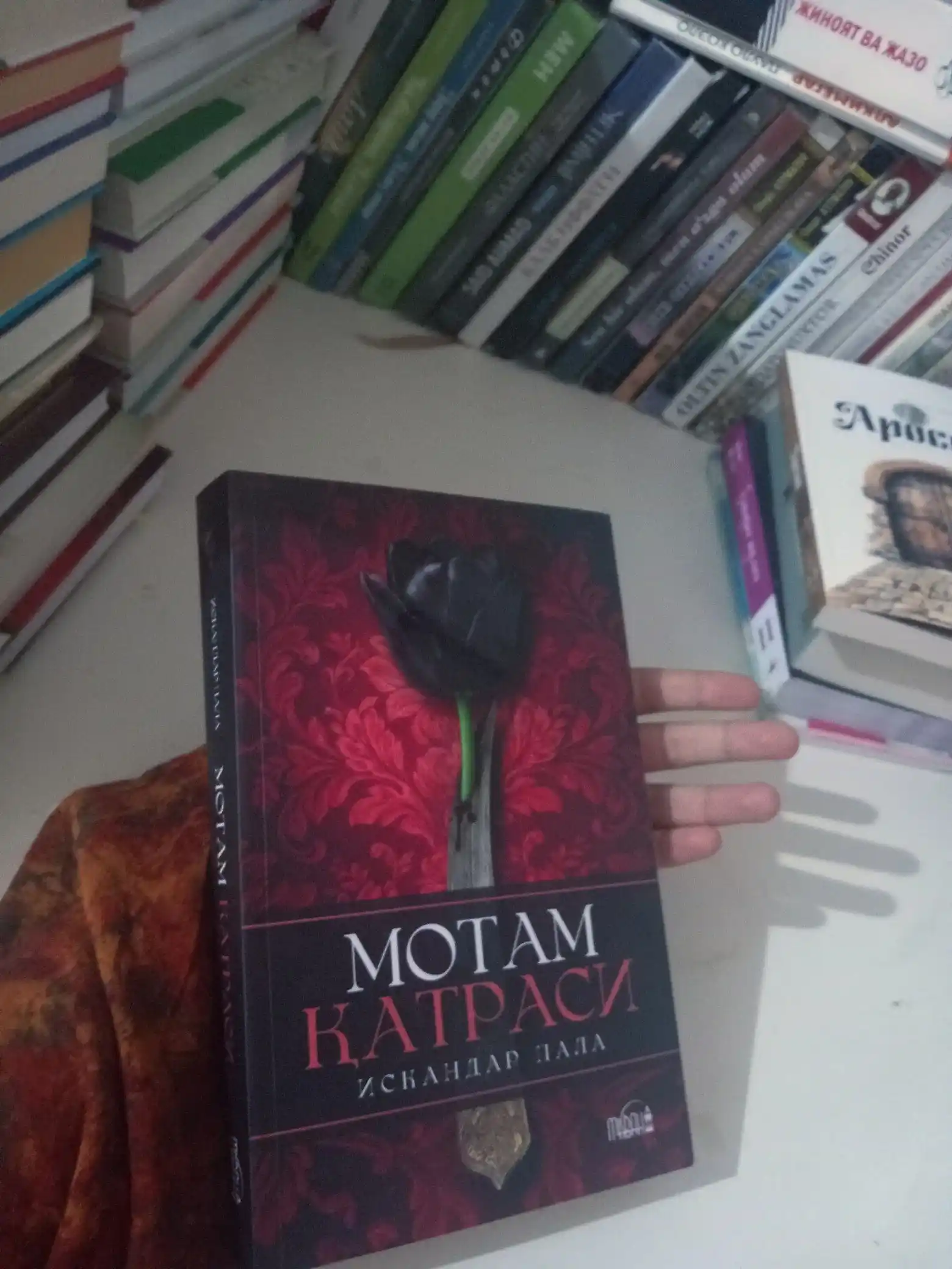 Motam Katrasi — Iskandar Pala, Tarixiy roman, turk adabiyoti, badiiy asar
