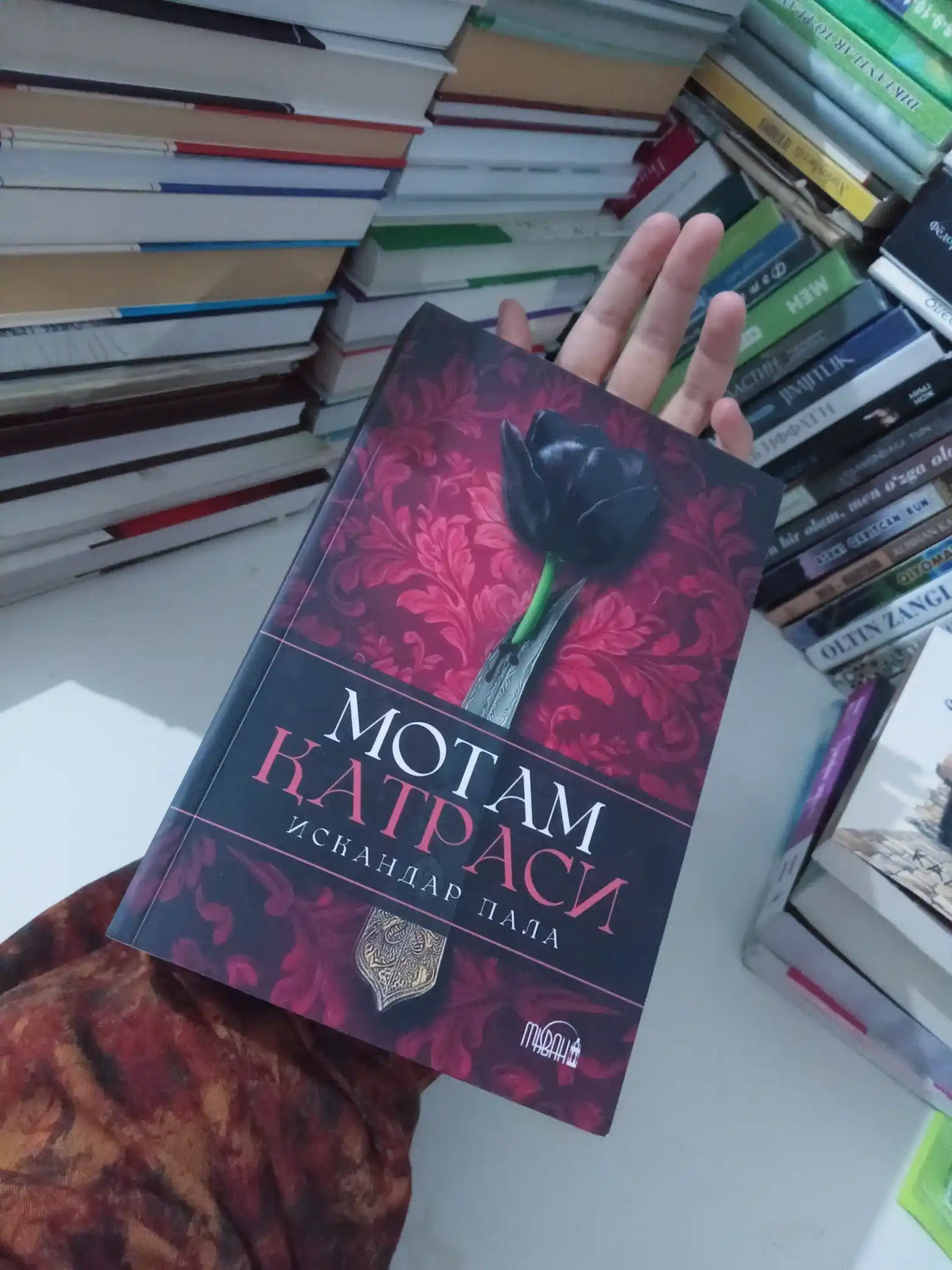 Motam Katrasi — Iskandar Pala, Tarixiy roman, turk adabiyoti, badiiy asar