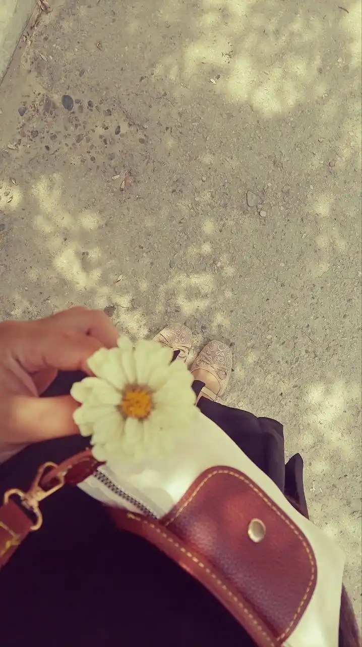 Ayollar uchun mini sumka Longchamp