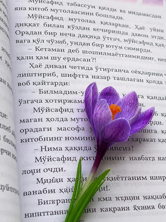 Бинафша шуъласи 2 и 1, роман, Усама Муслим, Отличный вариант для подарка