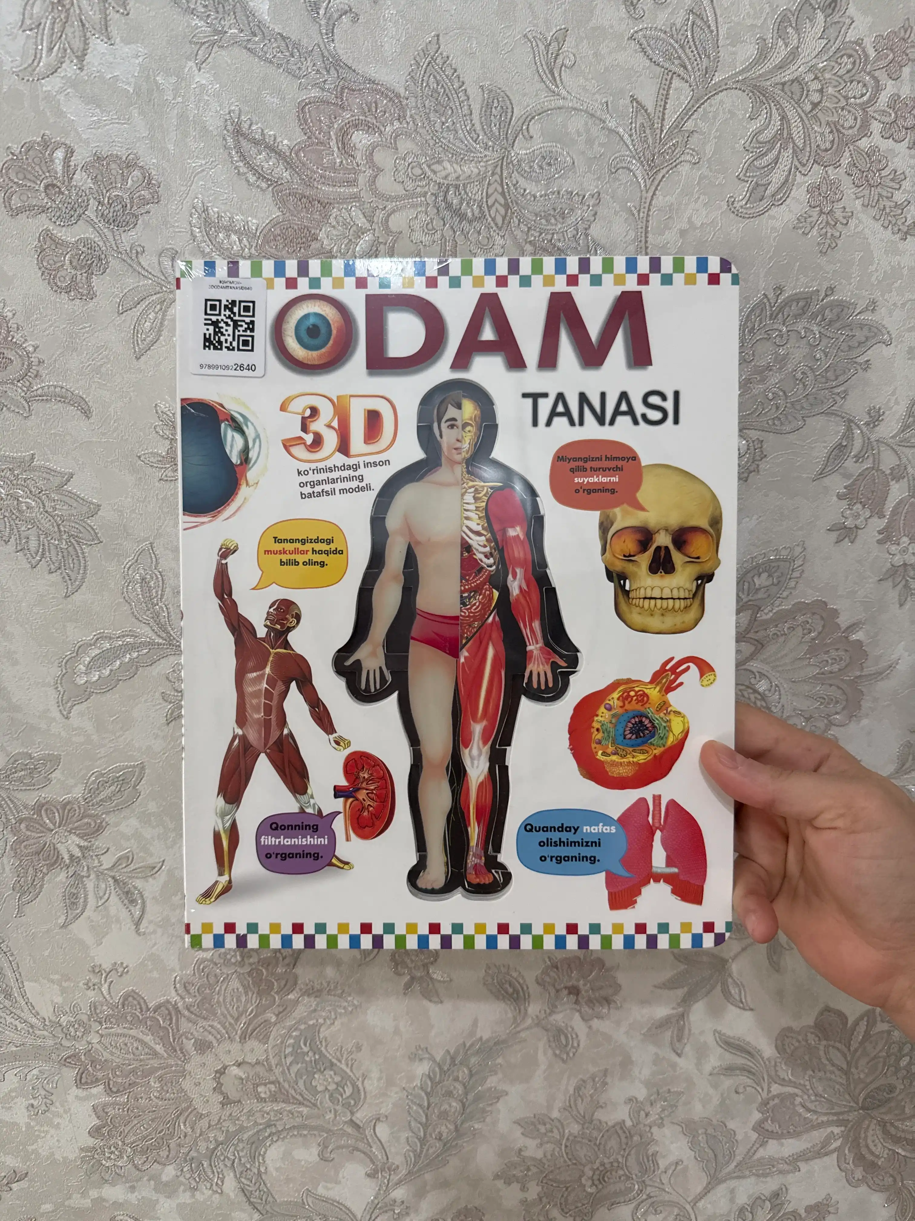 3D Тело человека