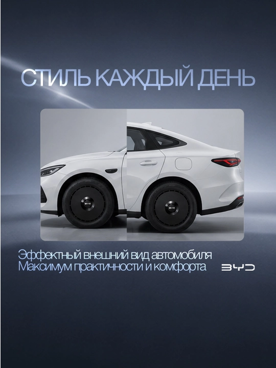 Колпак диска R18 BYD Seal 6