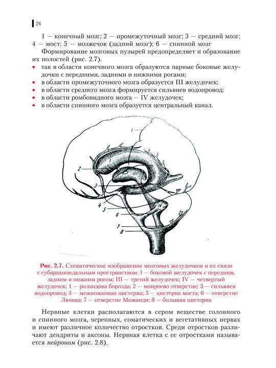 Неврология — М. Н. Мисюк