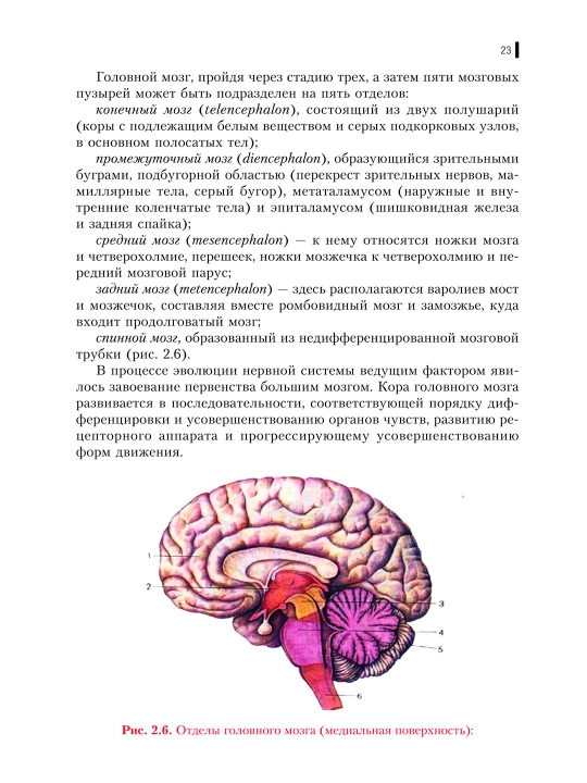 Неврология — М. Н. Мисюк