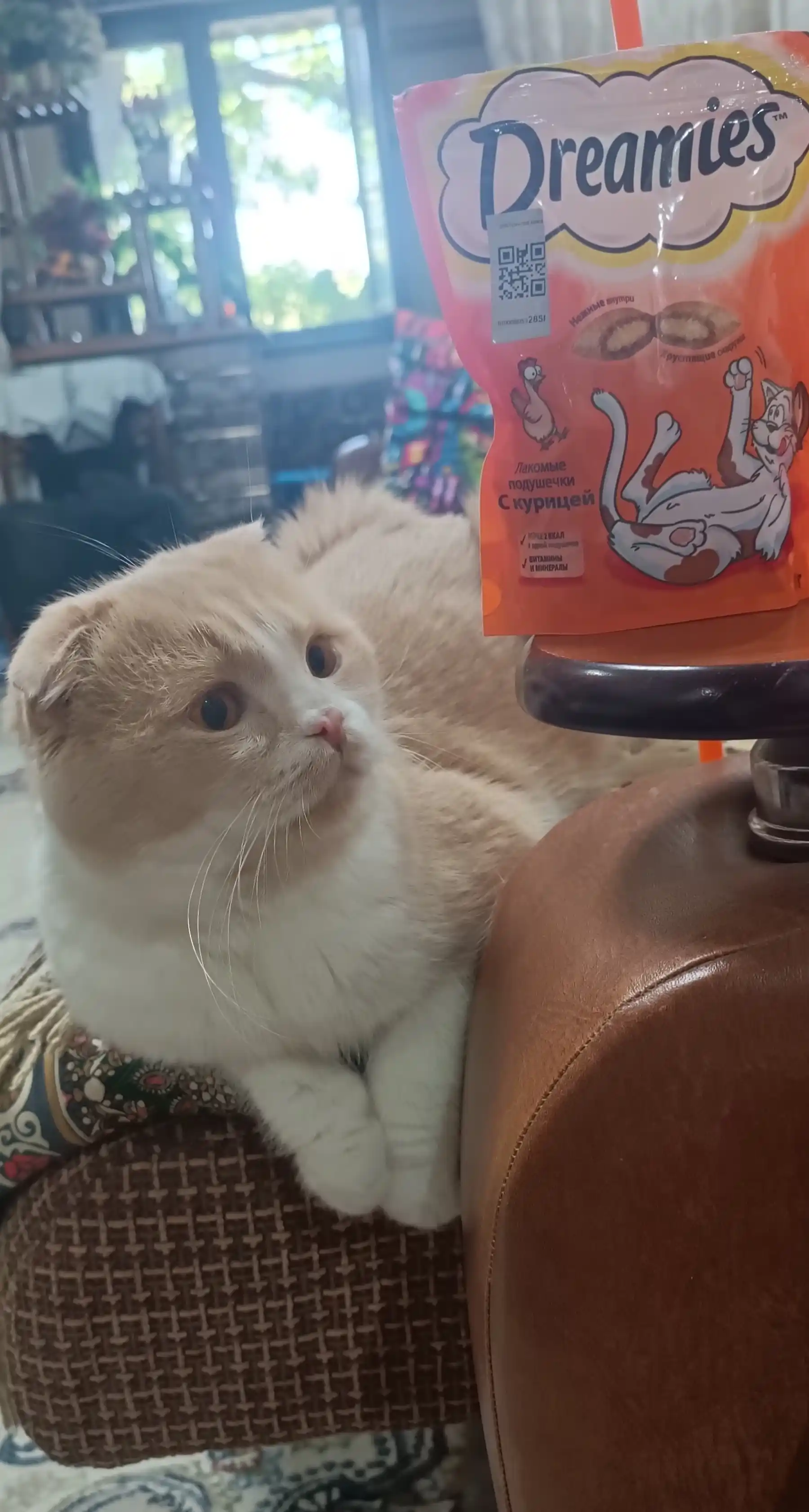 Лакомство для кошек Dreamies,  подушечки с курицей, 60 г
