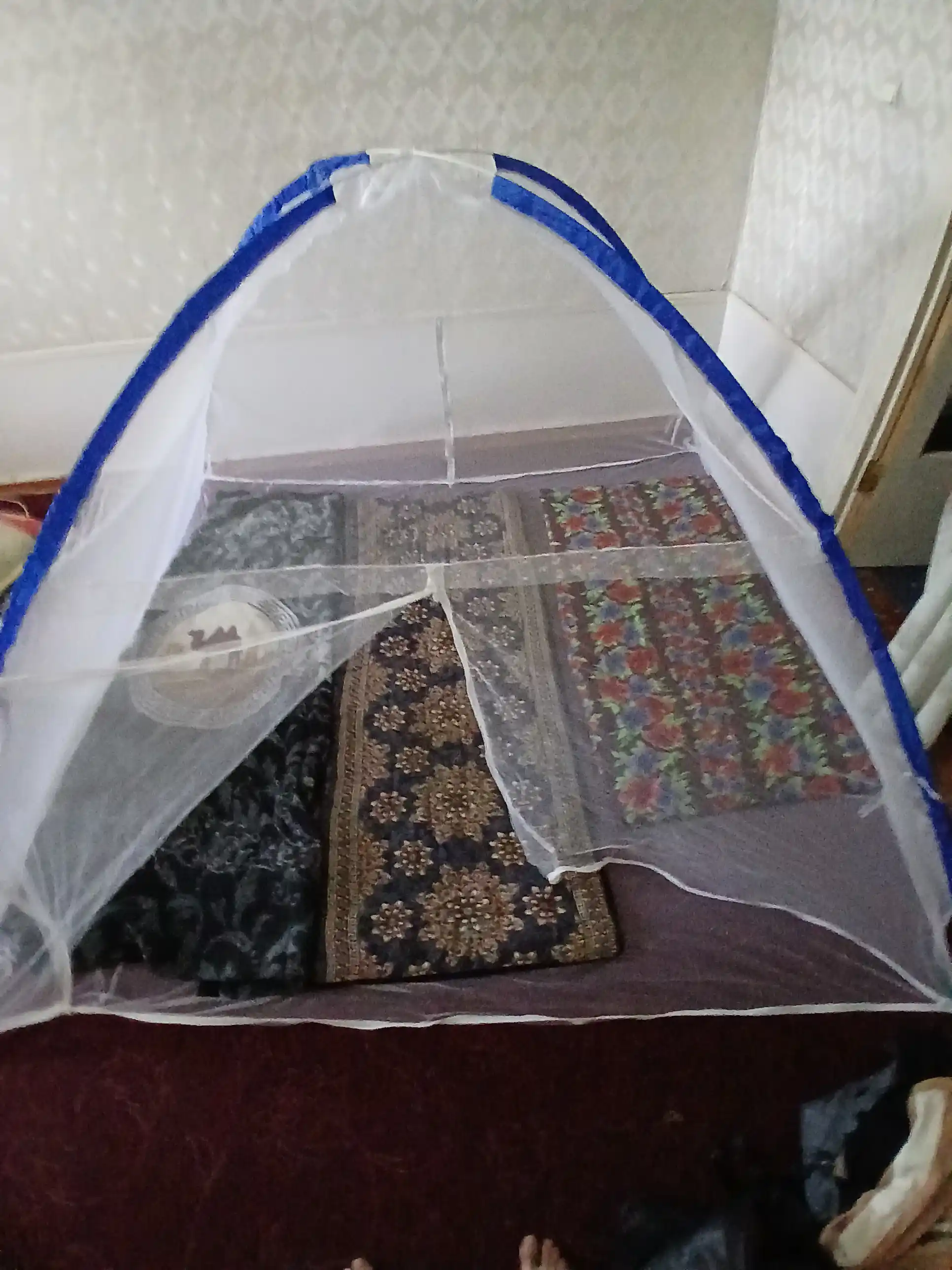 Pashshaxona chivin, pashsha va boshqa hasharotlardan himoyalovchi moskit to‘ri