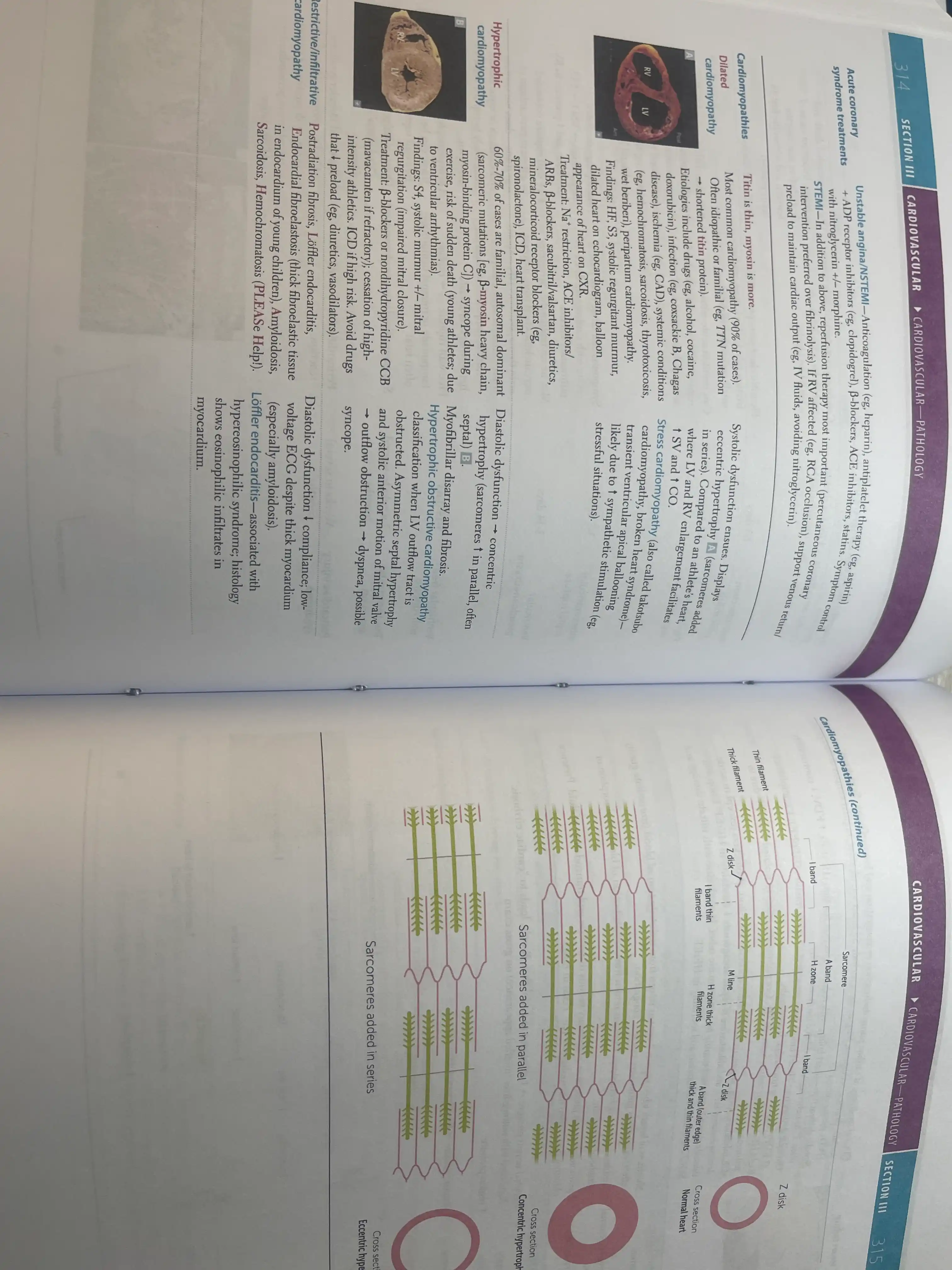 Tibbiyot kitobi, Usmle uchun birinchi yordam 1-qadam 2026, A4 formatidagi imtihonga tayyorgarlik