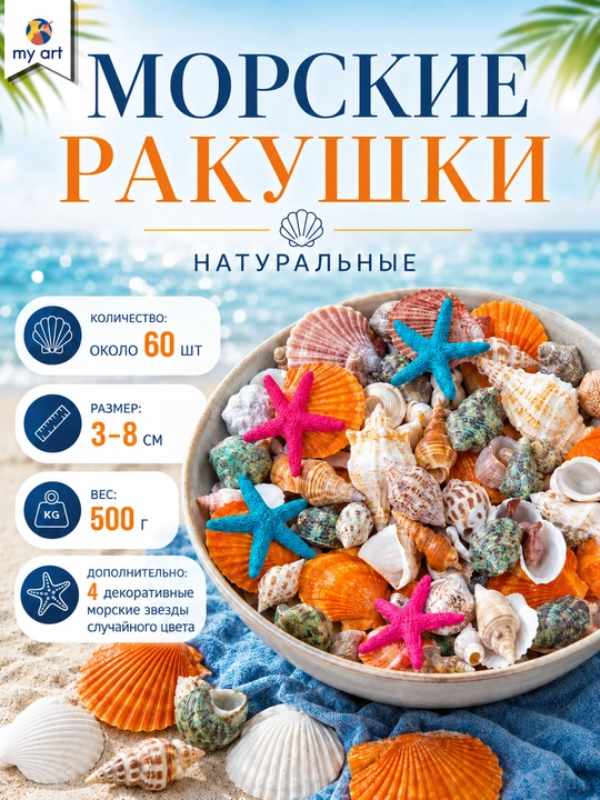 Tabbiy dengiz chig'anoqlari to'plami - ijodkorlik va dekor uchun