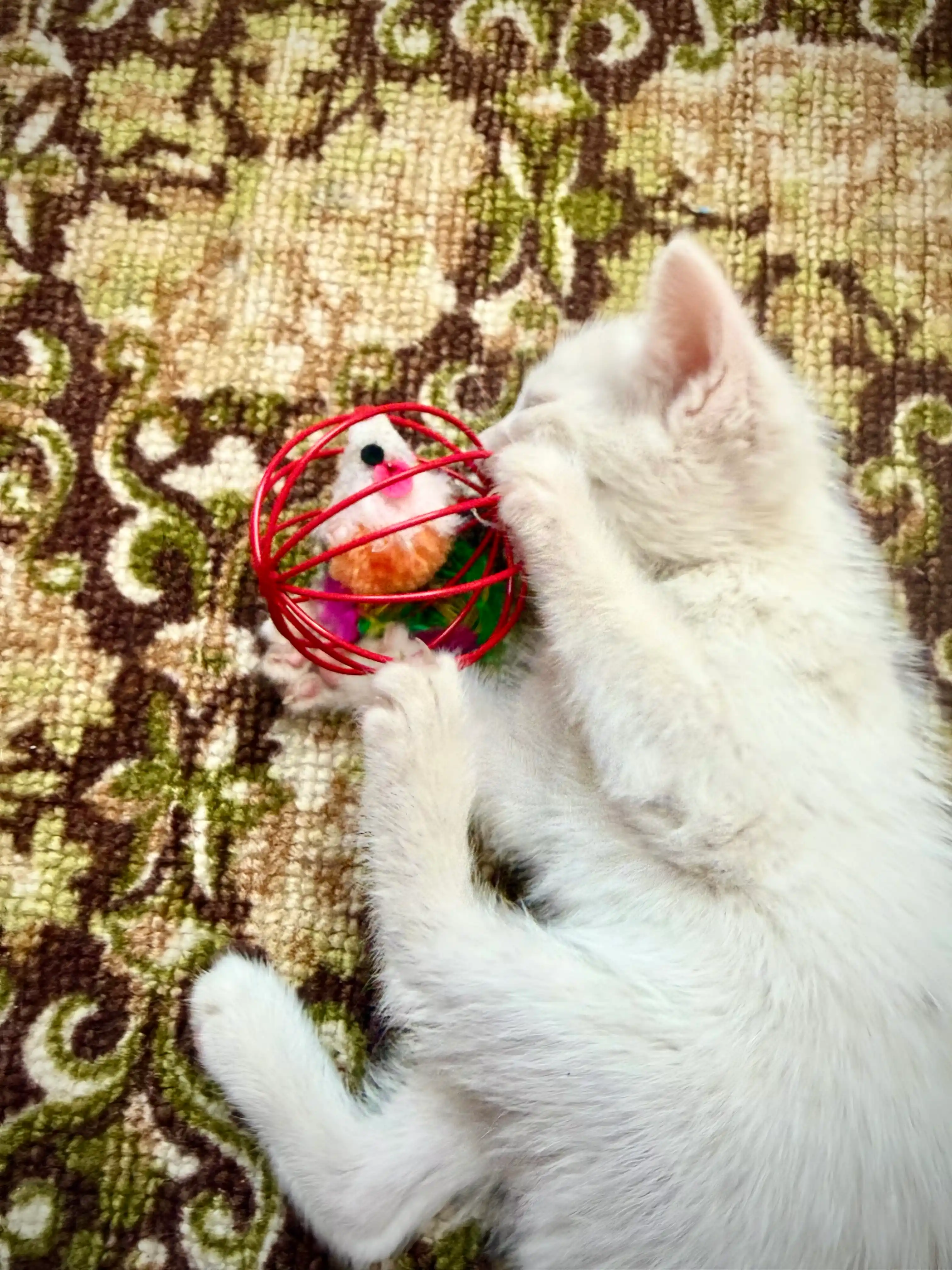 Игрушка для кошек