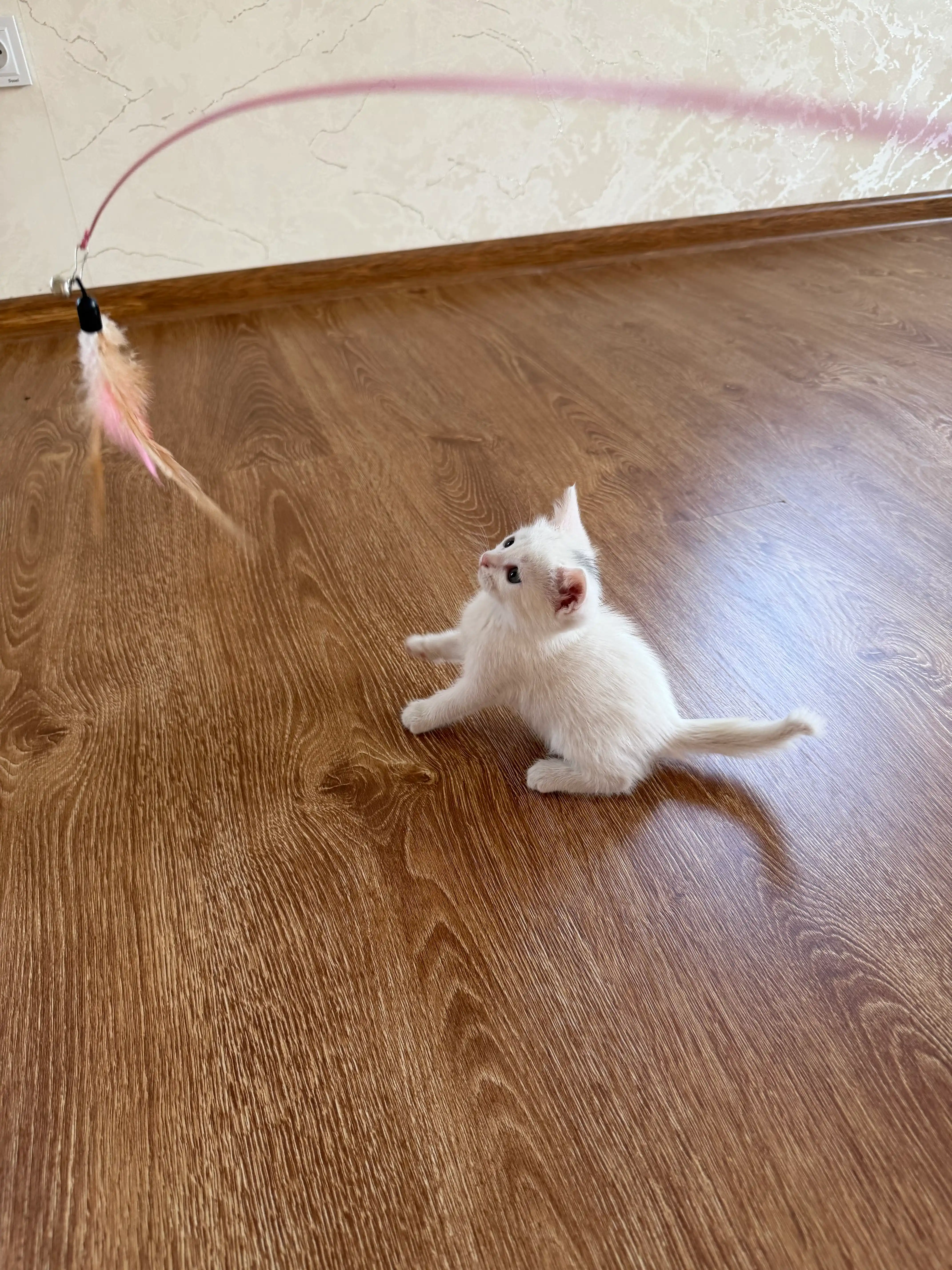 Игрушка для кошек, удочка с пером и колокольчиком
