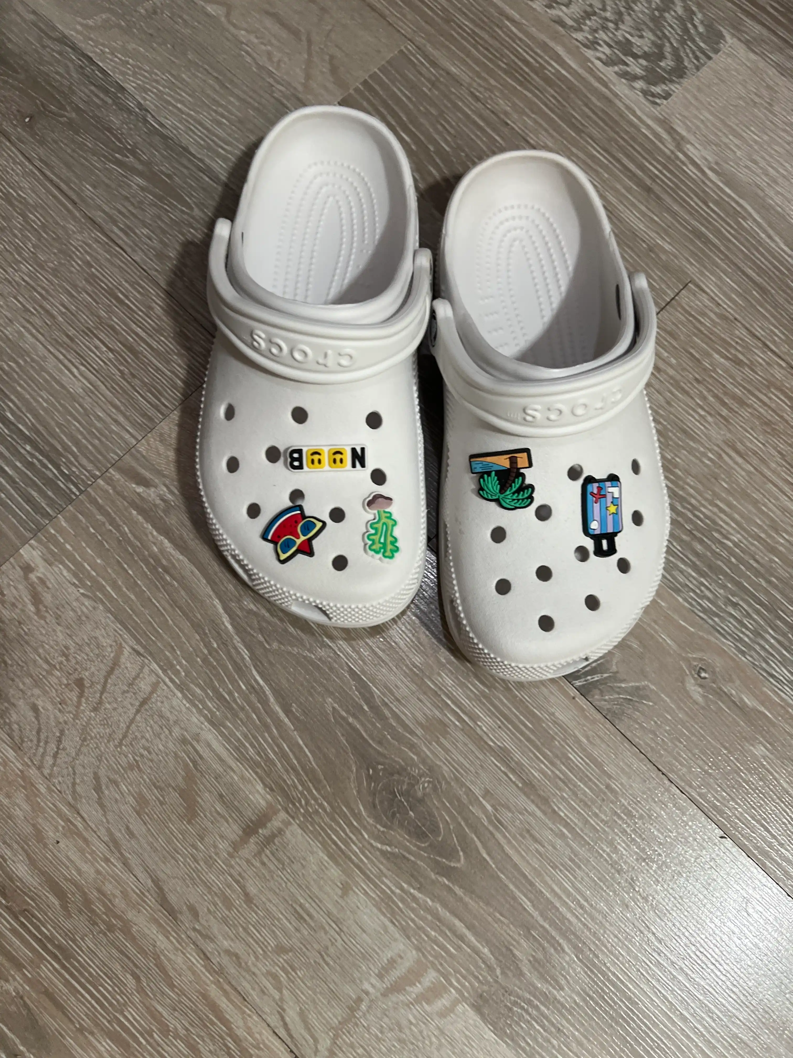 Roblox Jibbits