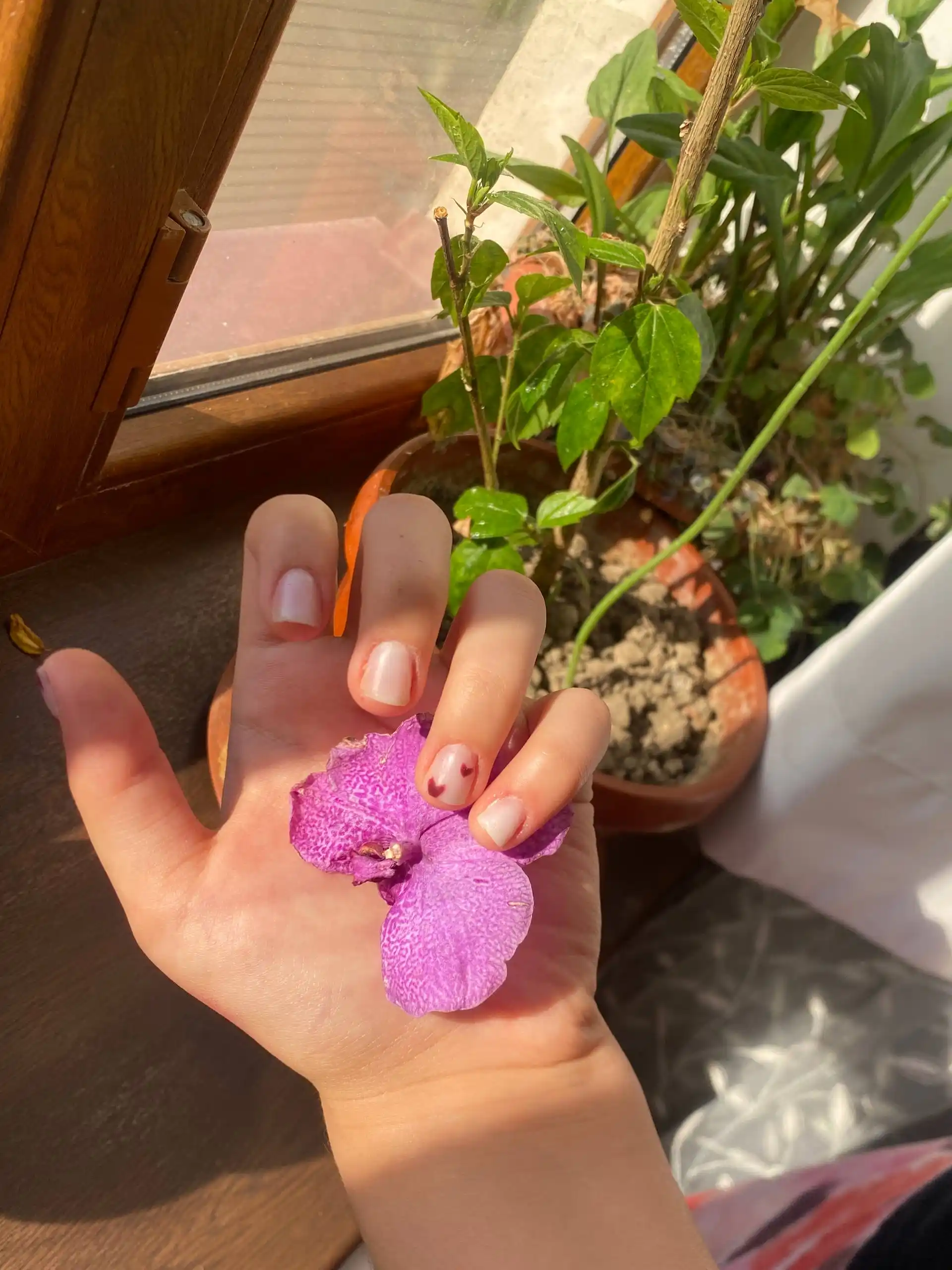 KLIO Tirnoqlarni narashivaniyasi uchun akrigel, 30 g
