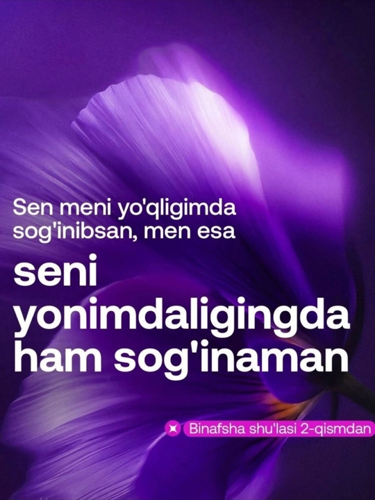1+1 aksiyasida Binafsha shulasi 1-2 qisim, Muallif Usoma Muslim