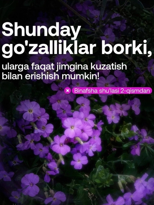 1+1 aksiyasida Binafsha shulasi 1-2 qisim, Muallif Usoma Muslim