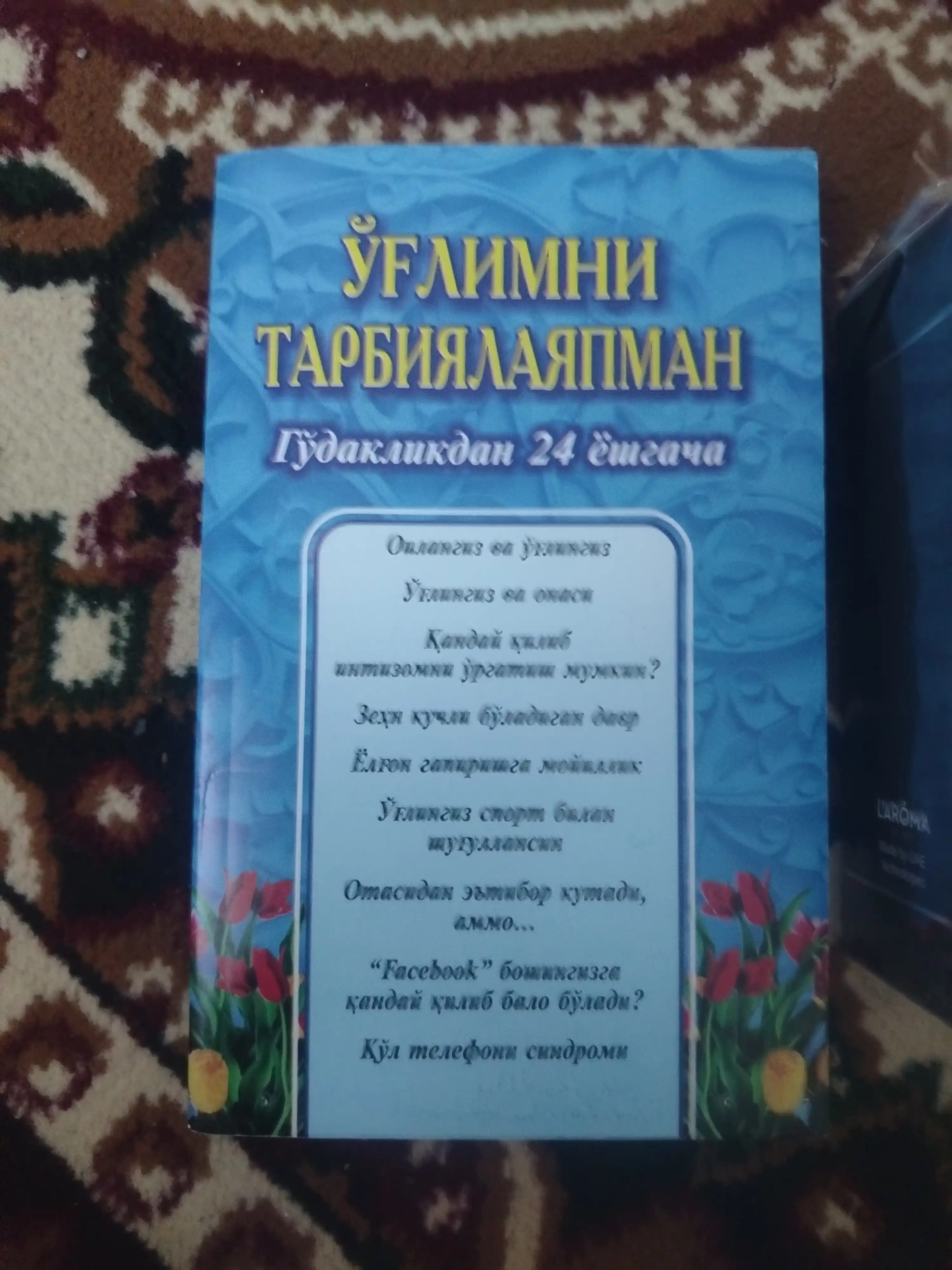 Я воспитываю своего сына (от младенчества до 24 лет)
