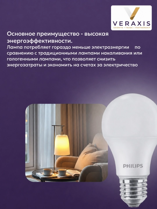 Lampa светодиодная LED E27 10Вт 6500К, холодный белый свет для дома