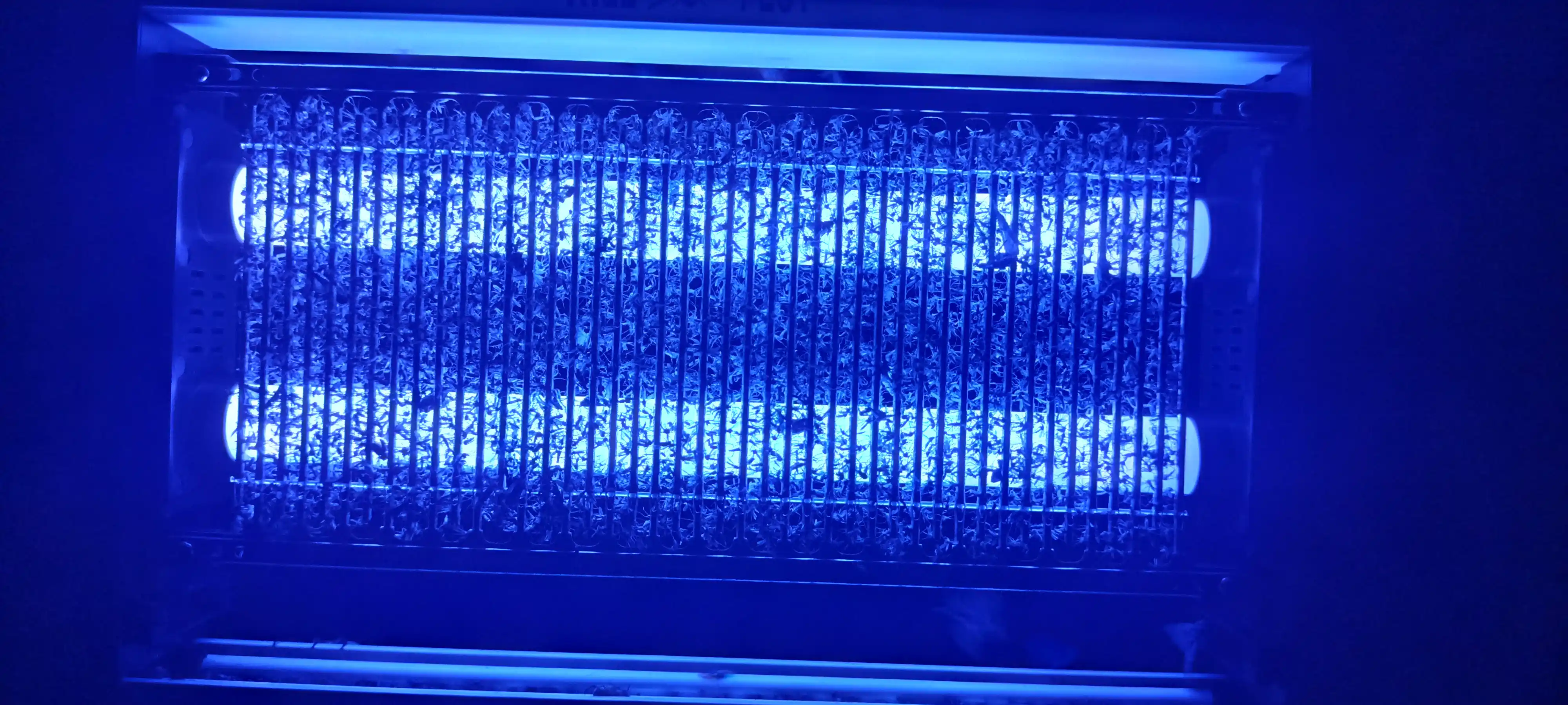 Chivin, pashsha va hasharotlarga qarshi elektr chivin urgich