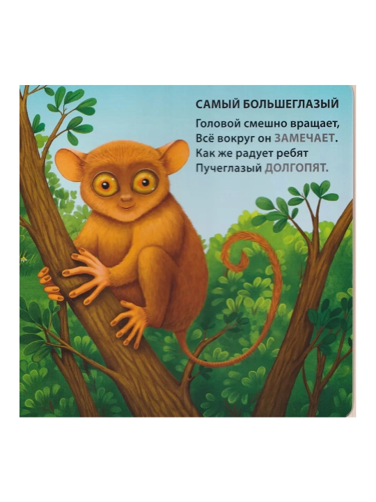Topishmoqlar - qofiyalar, Eng-eng hayvonlar, Karton kitobcha, Yevgeniy Sosnovskiy
