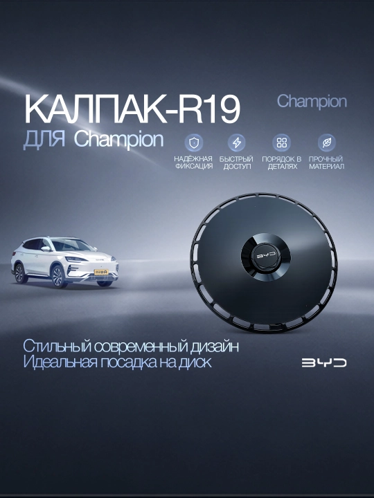 Колпак диска R19 BYD Champion - 
