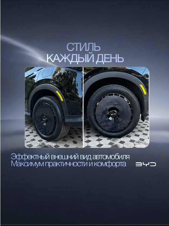 Колпак диска R19 BYD Champion