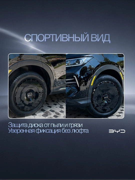 Колпак диска R19 BYD Champion