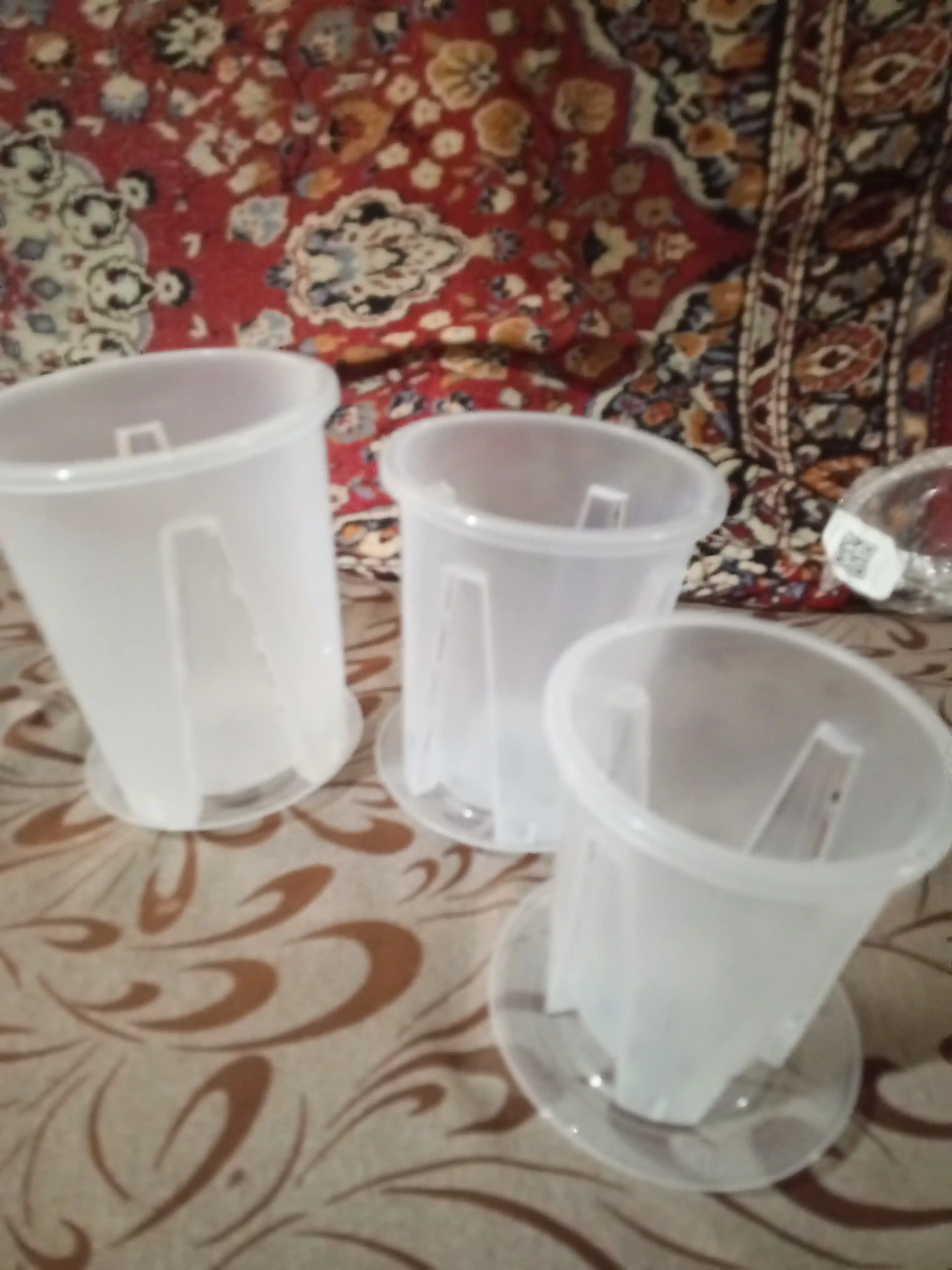 Orxideya va gullar uchun shaffof Gulla tuvaklari, drenajli, 0,8 litr, 1,3 litr, 2 litr