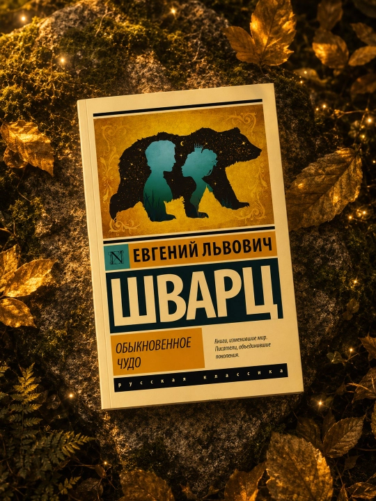 Обыкновенное чудо. Шварц Евгений Львович