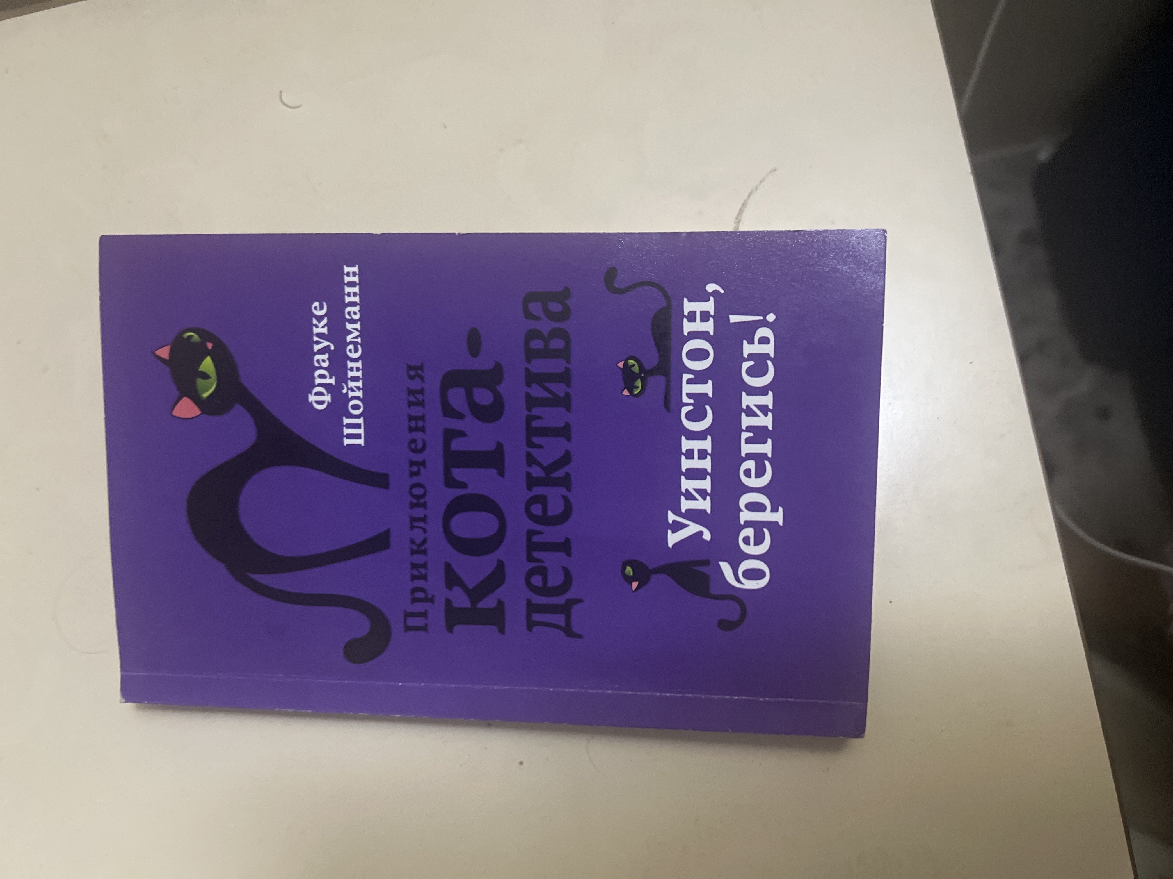 Приключения кота-детектива Агент на мягких лапах, Дело о невидимке Фрауке Шойнеманн
