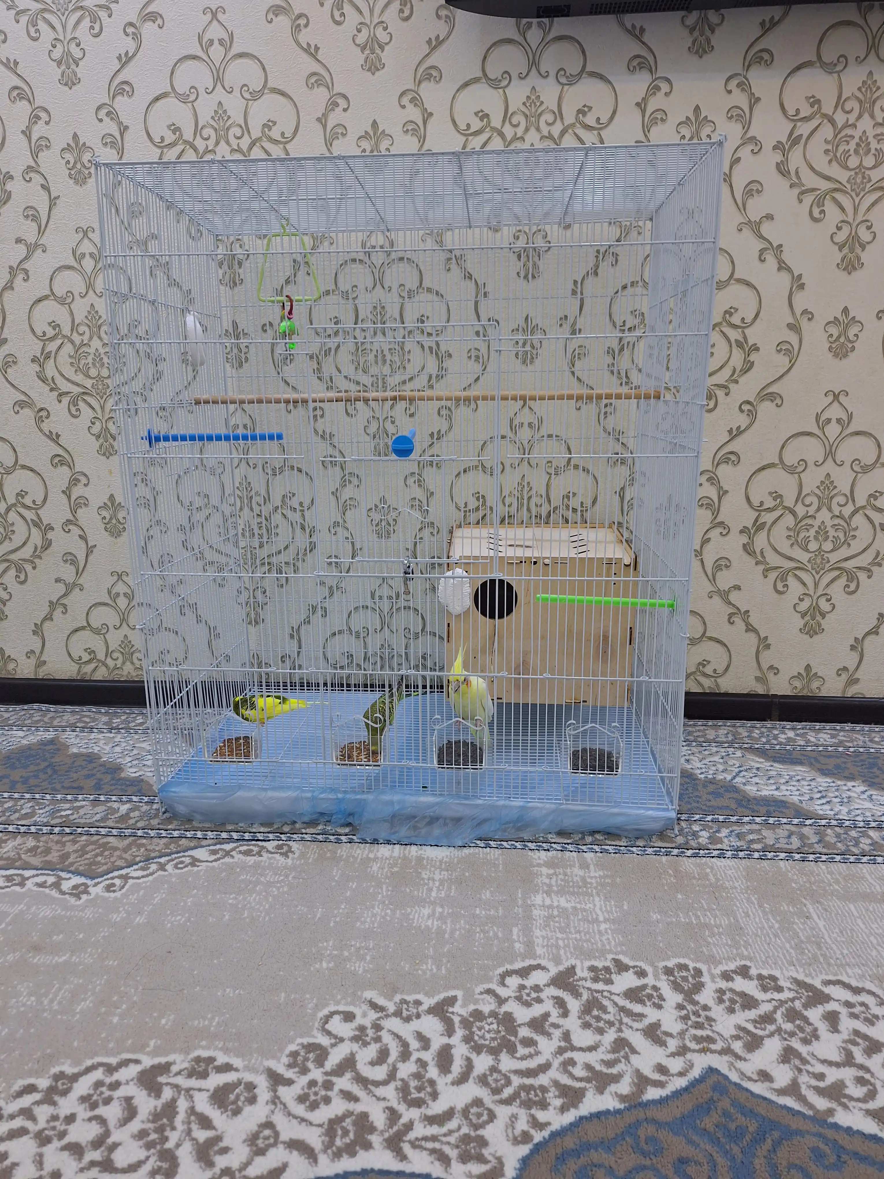 Клетка для крупных птиц D611 ( 76 * 46 * 91 см)