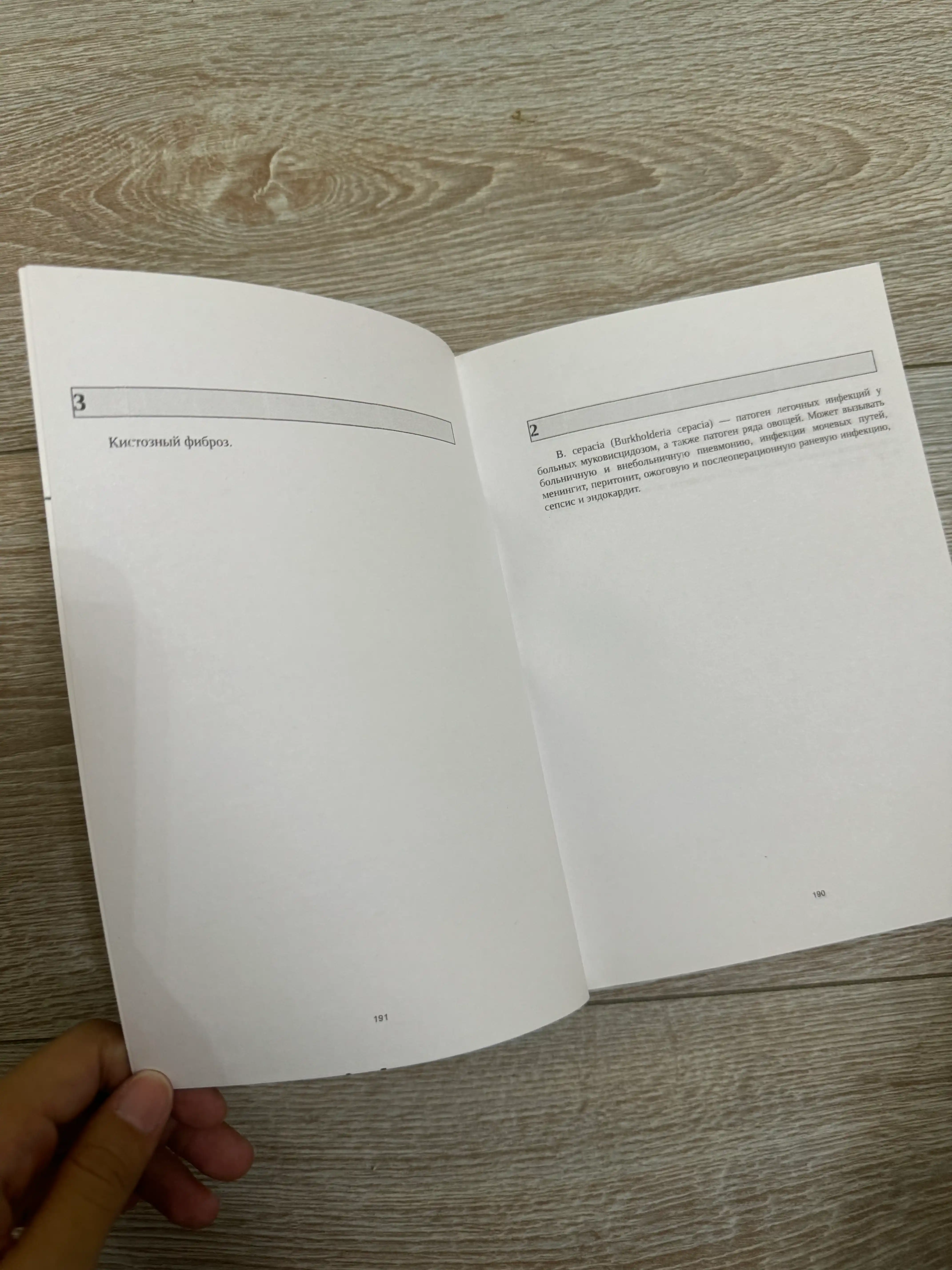 Bir-biridan bir metr masofada. Mikki Dotri, Reychel Lippinkott, Tobias Iakonis