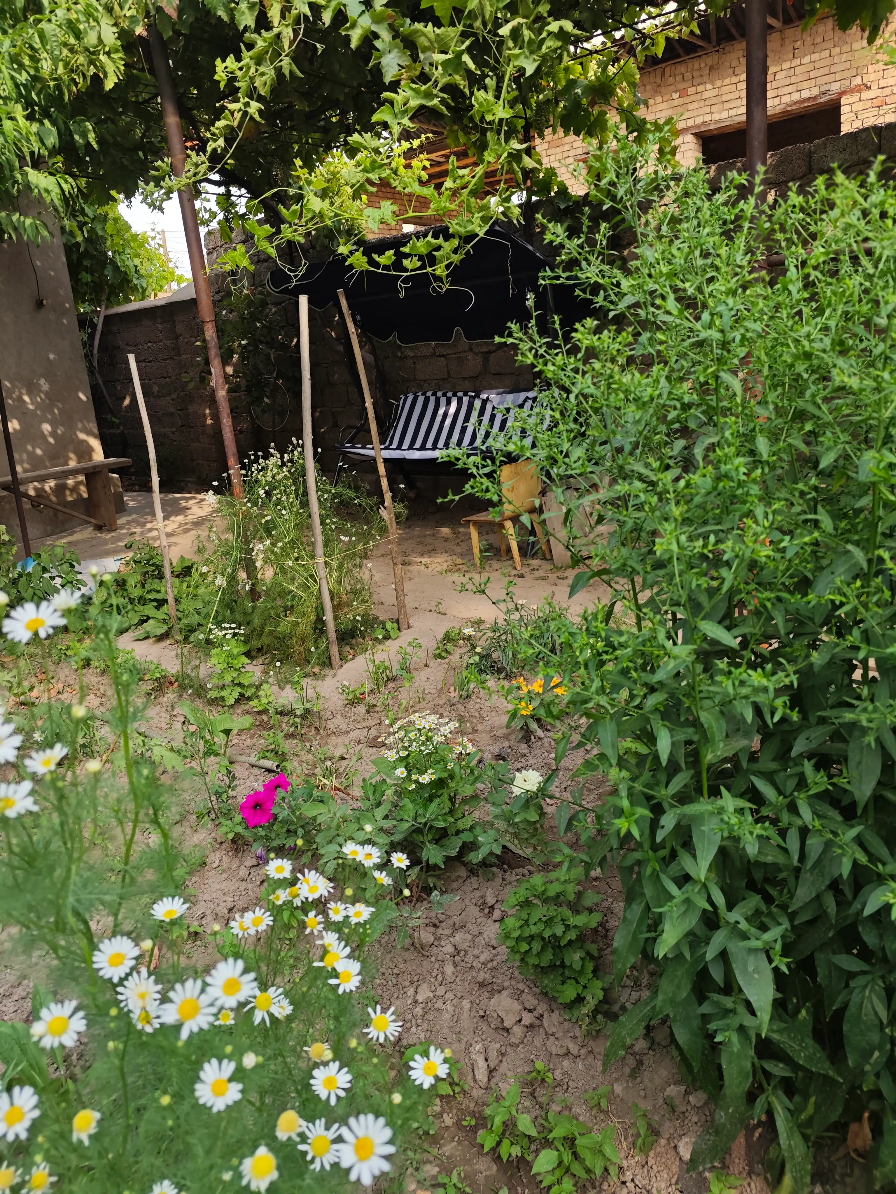 Belanchak 3 o'rinli bog' uchun, soyabonli hovli belanchagi 170×110×152 sm