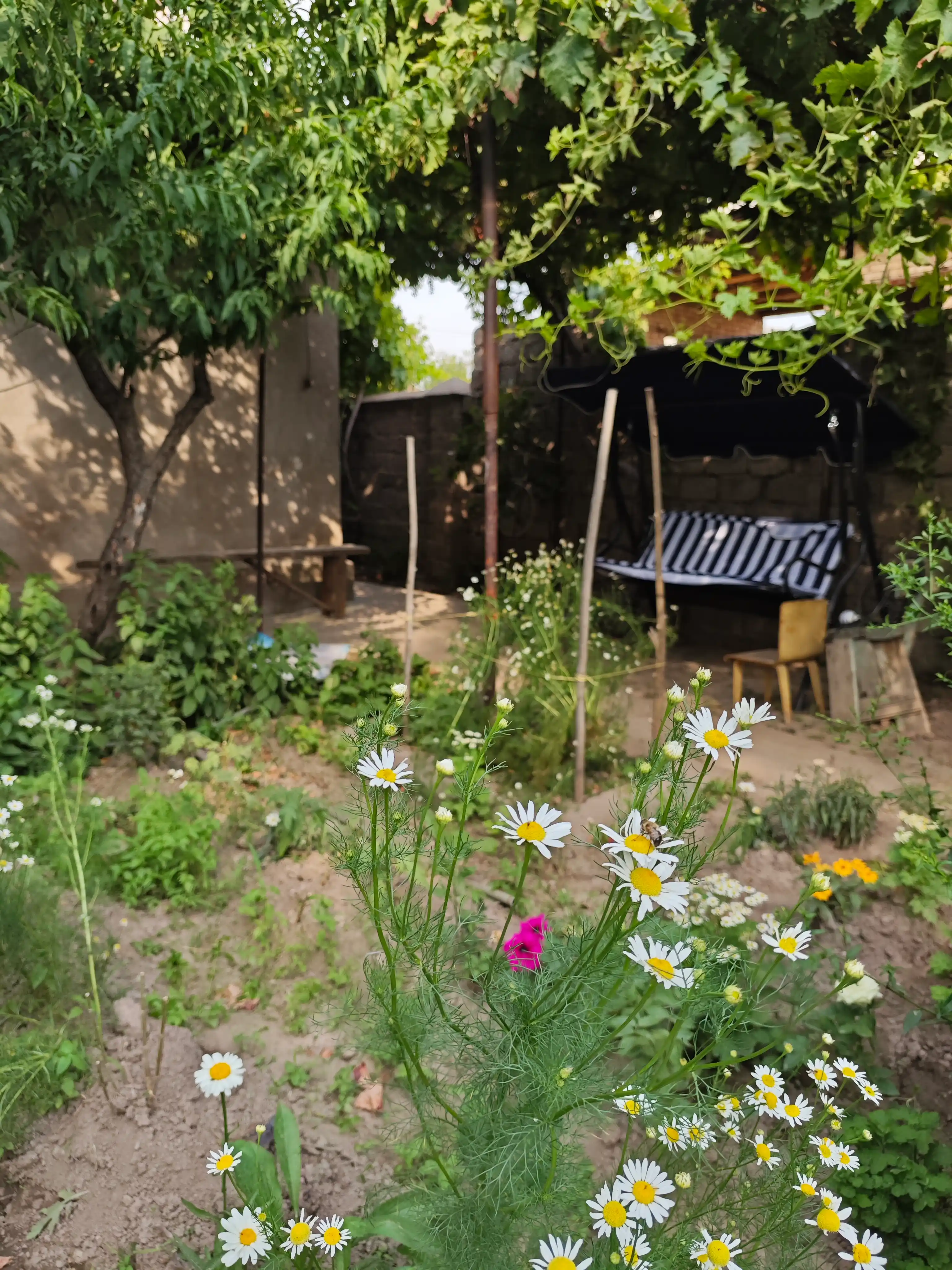 Belanchak 3 o'rinli bog' uchun, soyabonli hovli belanchagi 170×110×152 sm