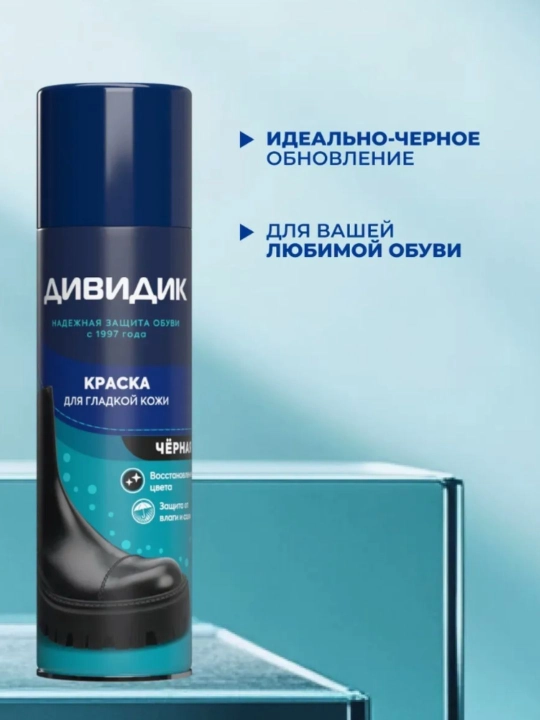 Краска для обуви черная спрей для гладкой кожи Дивидик, 250 мл