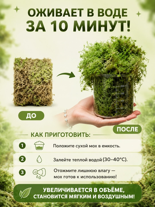 Мох сфагнум сухой GULLA, субстрат для комнатных растений, цветов и укоренения черенков
