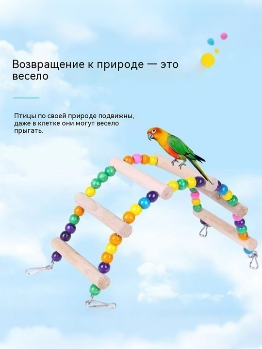 Качели для попугаев и птиц, деревянное кольцо-насест с цветными бусинами