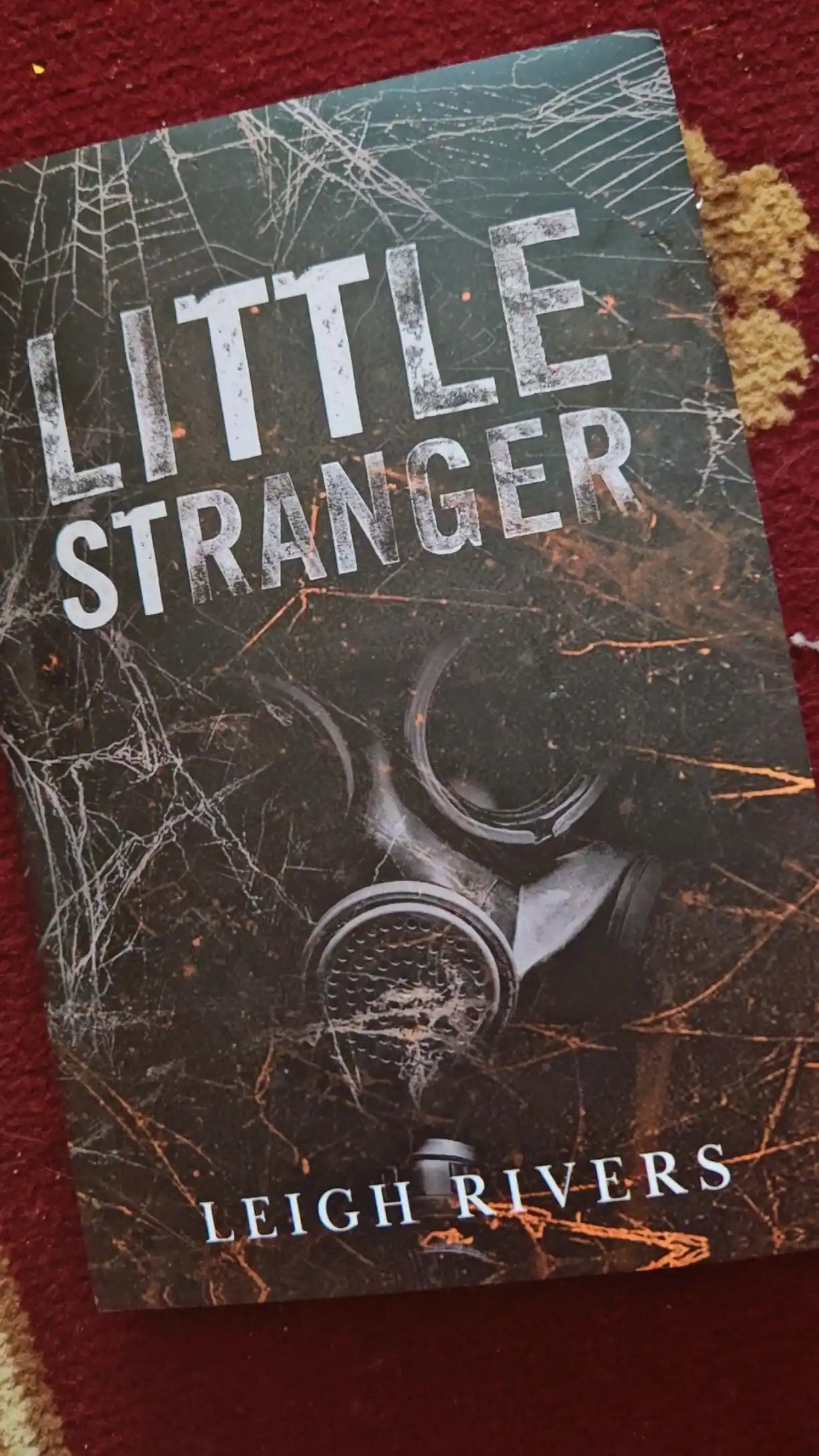 Little Stranger, Leigh Rivers