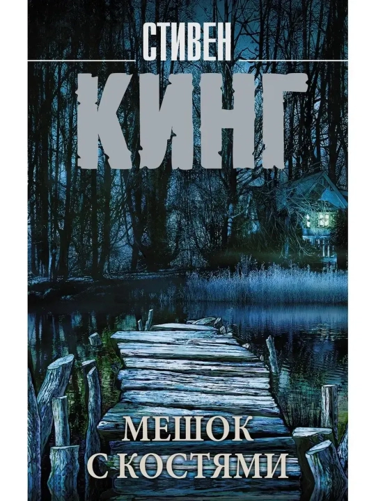 Мешок с костями. Кинг Стивен