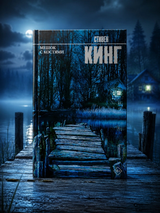 Мешок с костями. Кинг Стивен