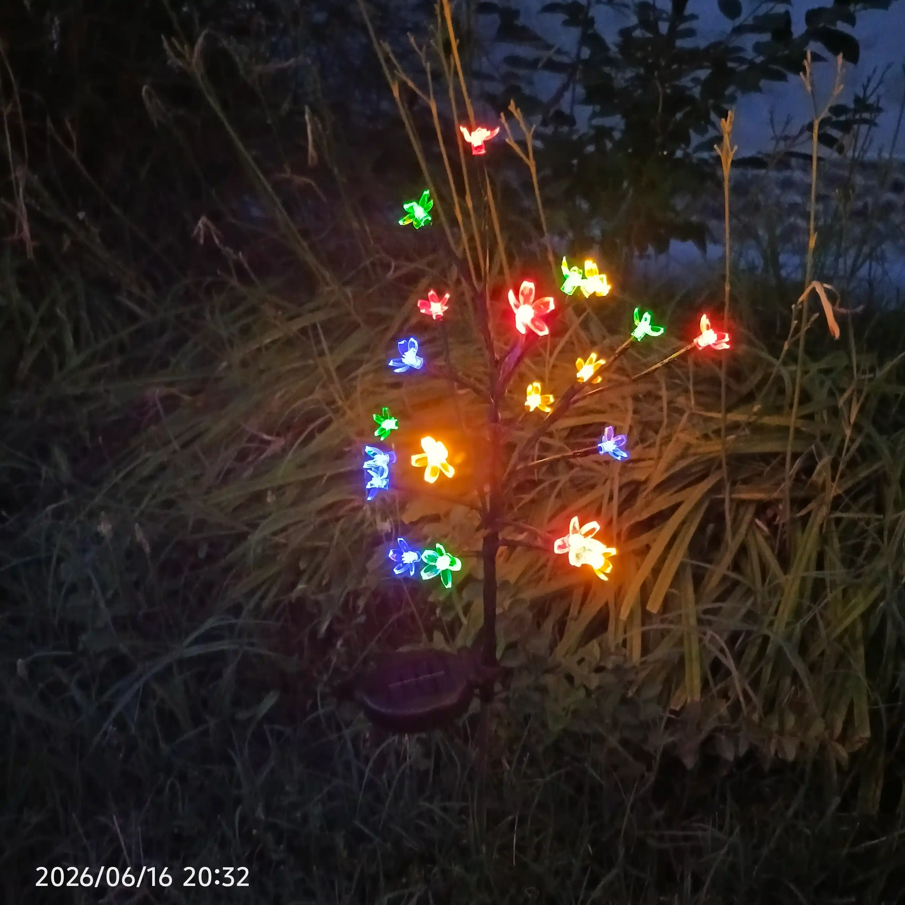 20 ta LED quyosh energiyasida ishlaydigan dekorativ tashqi bog 'chiroqi