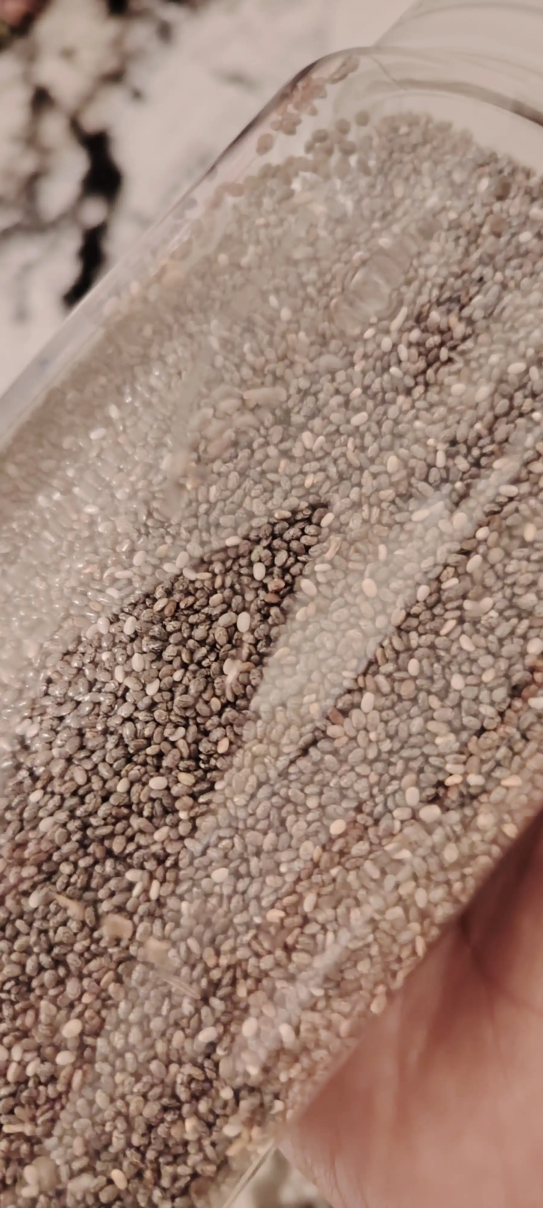 Chia urug'i, tabiiy qora "Horun" dan, 300 g