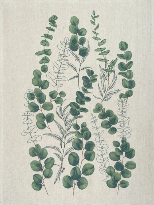 3 dona zig‘ir oshxona sochiqlari to‘plami "Evkalipt", 46×60 sm