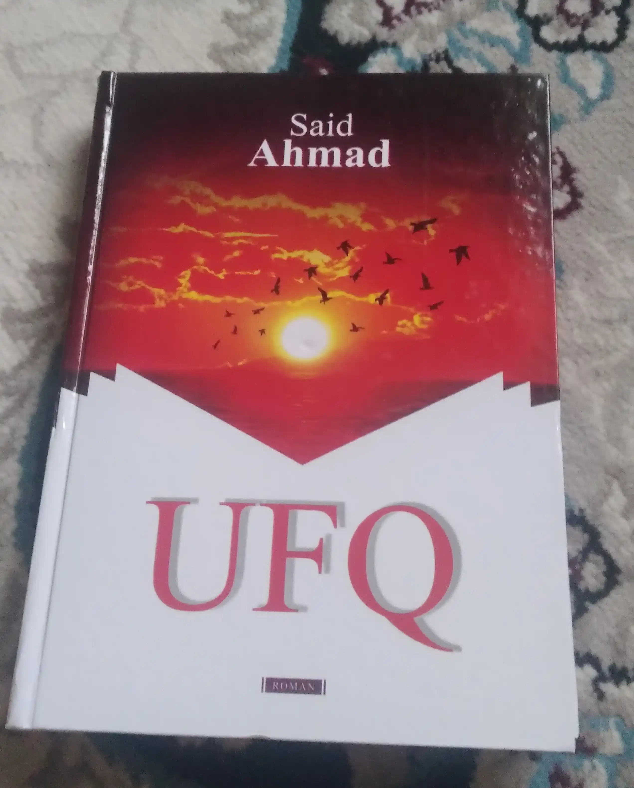 Said Ahmad - UFQ (roman)